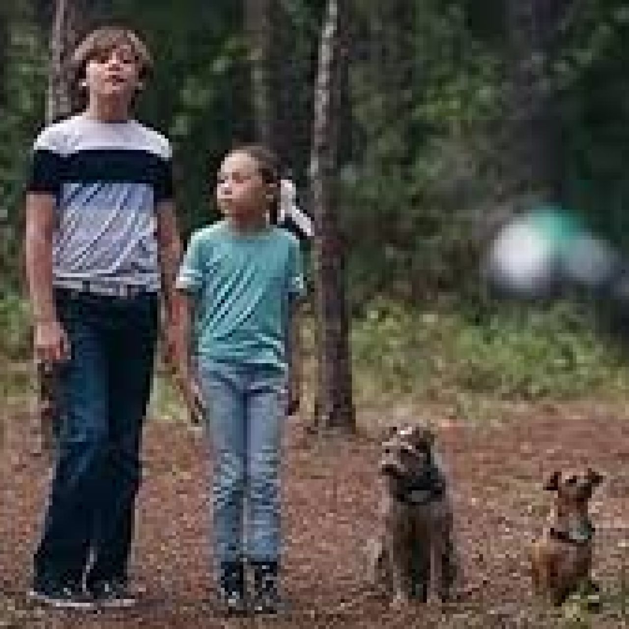 Thread 'Space Pups (2023)'